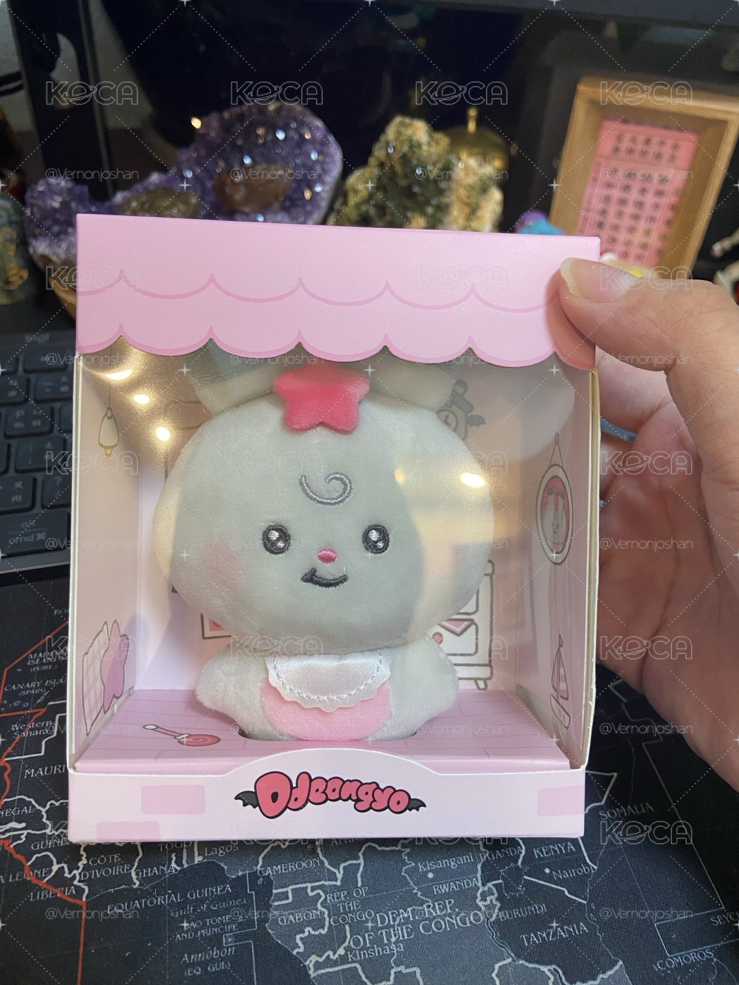 咚呦（全新未拆