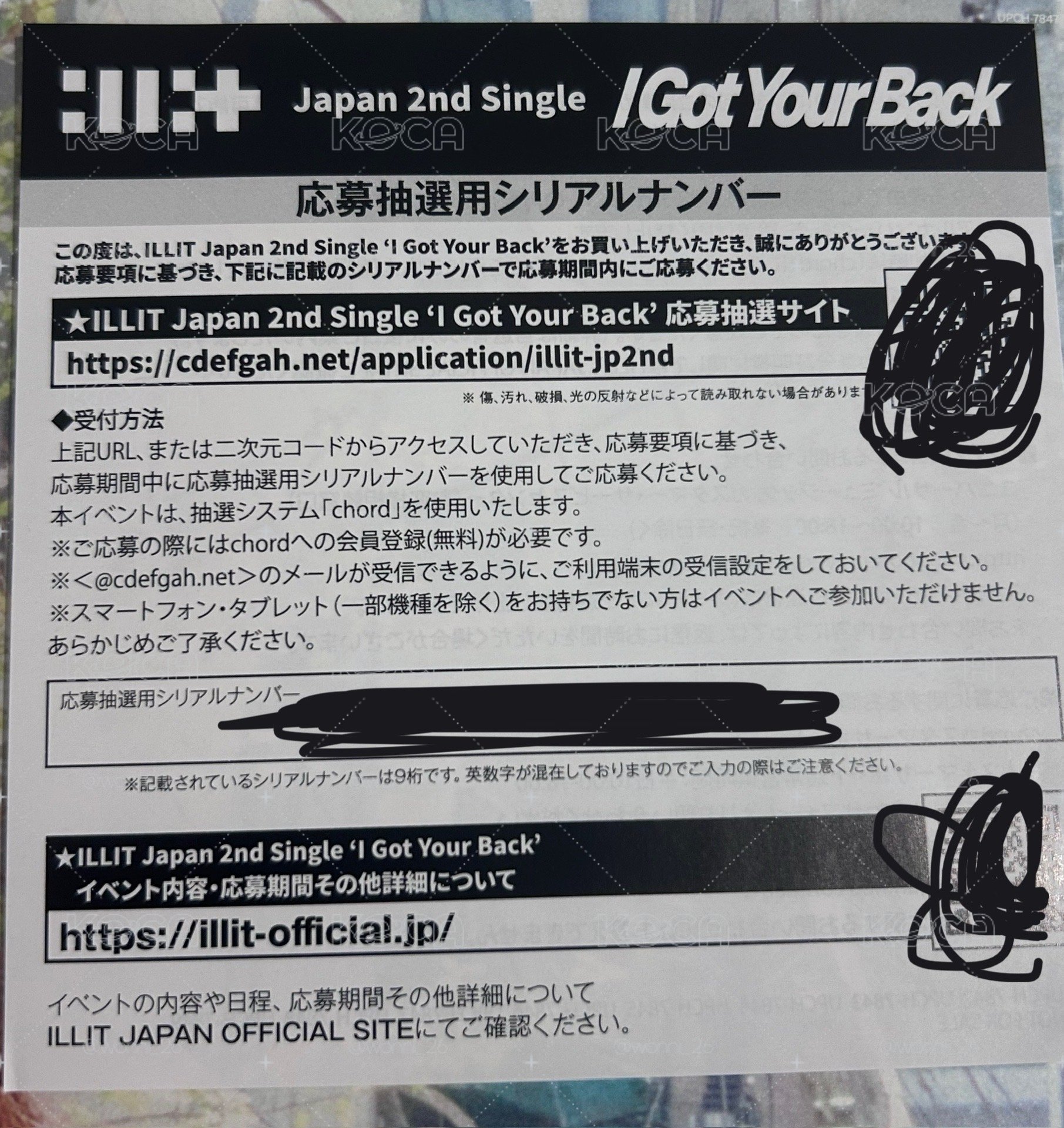 🟡禮 — 應募卷