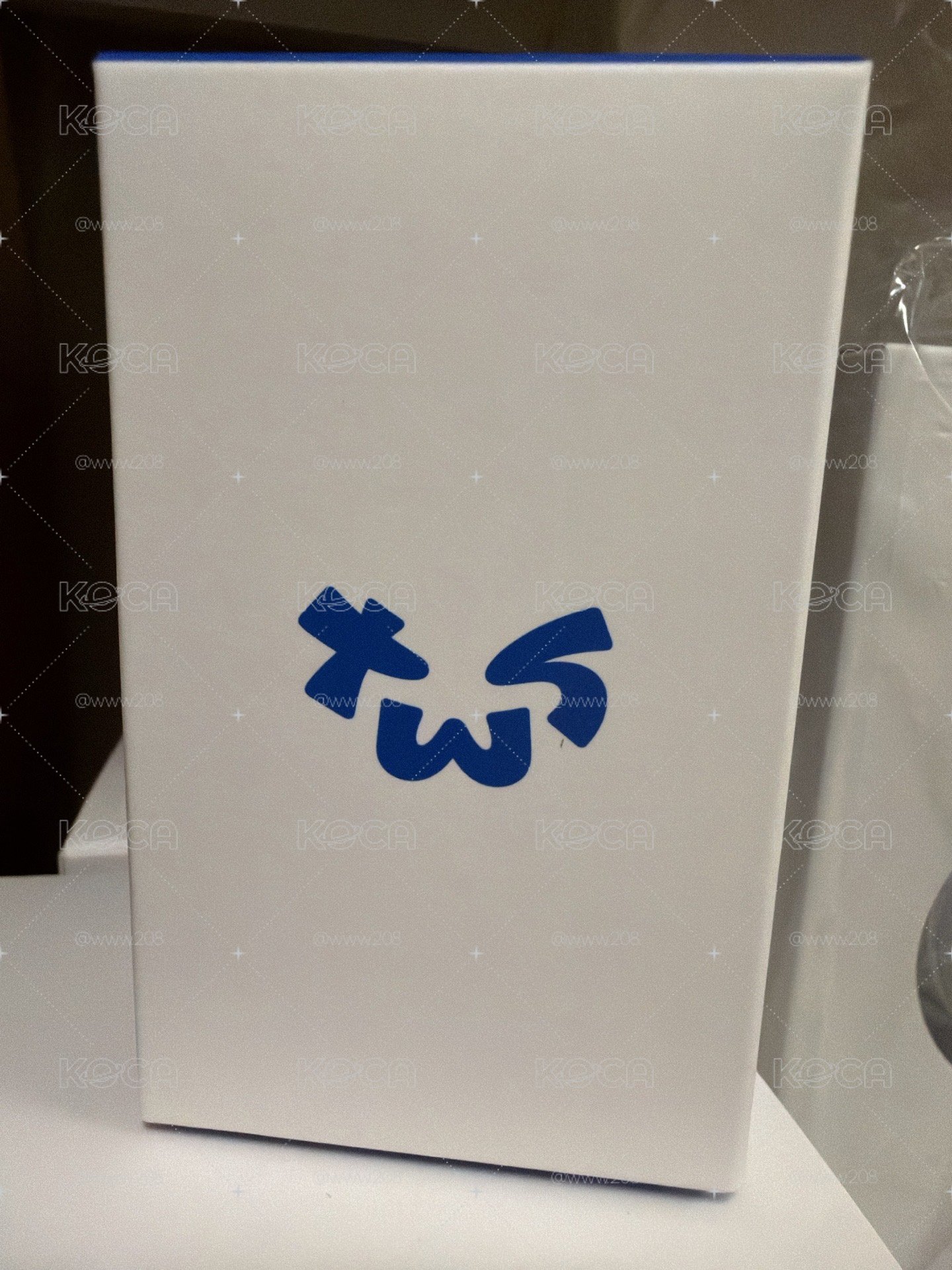在台現貨 TWS 應援手燈 迷你手燈吊飾