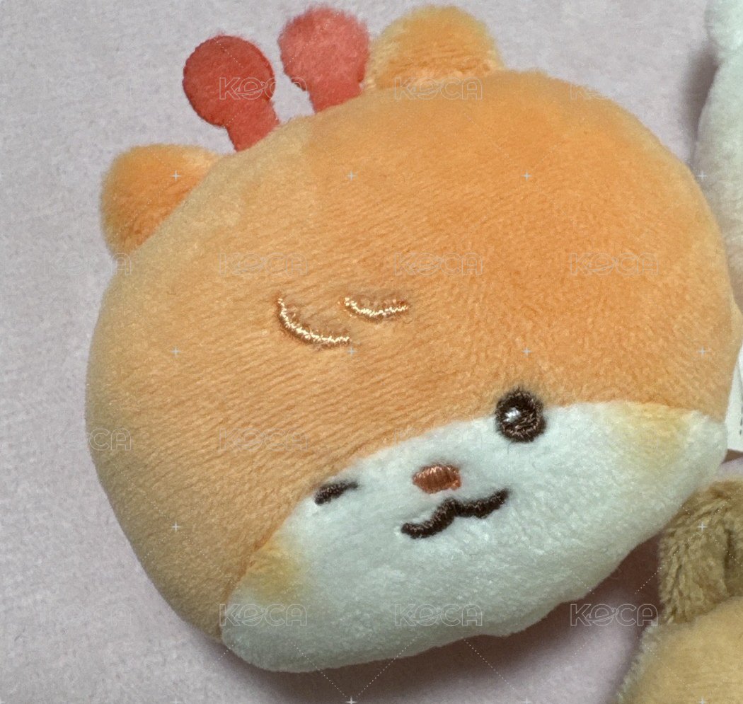 琦