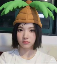 金主恩的狗