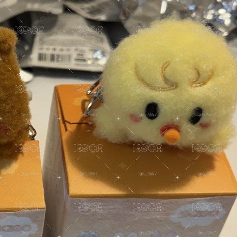 SKZ 世巡周邊 菲奶嘴娃 現貨