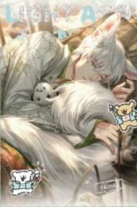 線條小狗 1.0 壓克力板 滿贈 閃卡