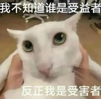 yting