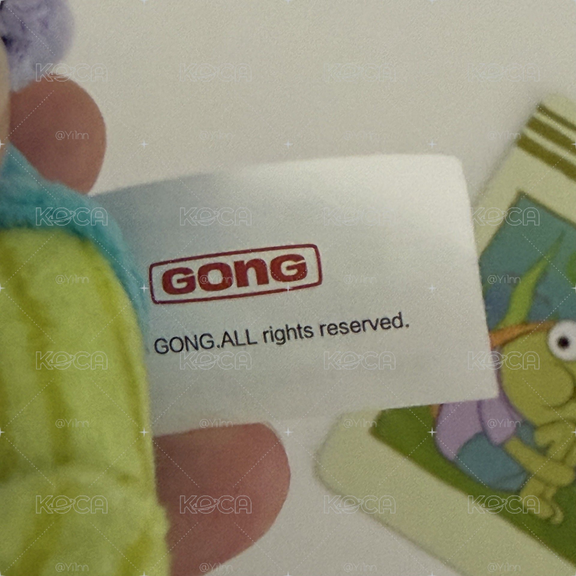 呆呆魚