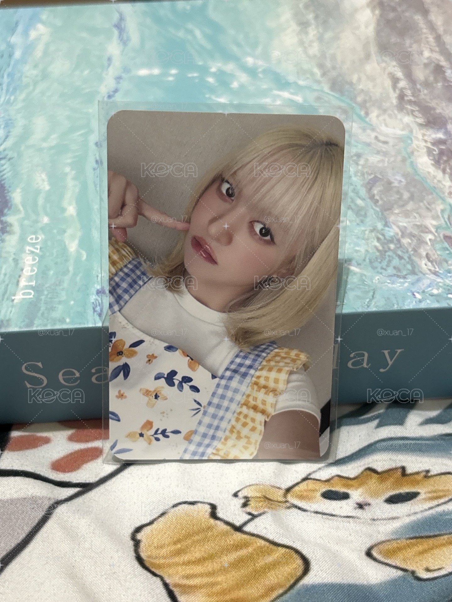 正規一 ms 20.0 深圳 簽售卡 小鏡子工坊