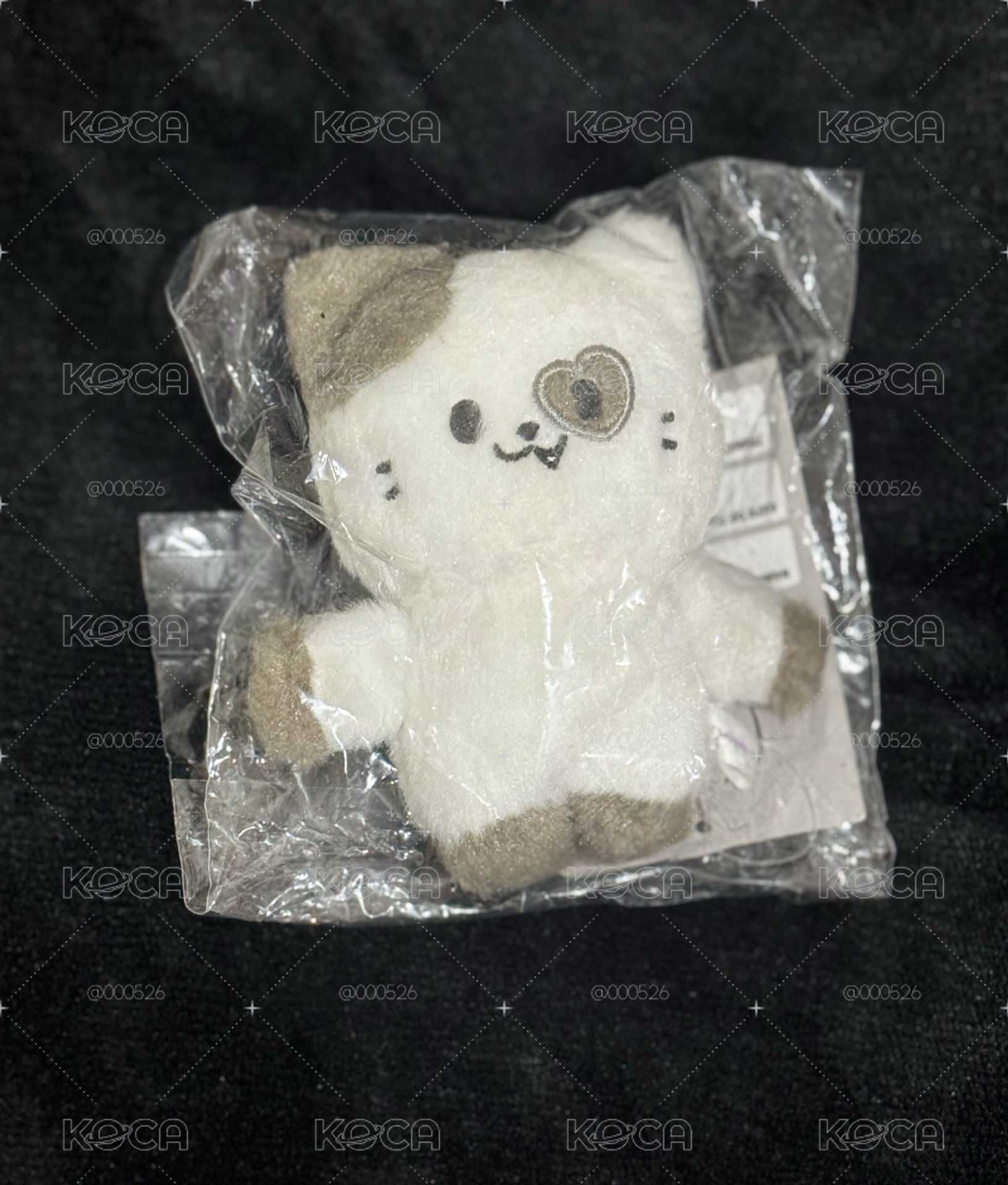 志磁吸
