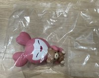 momo 全新