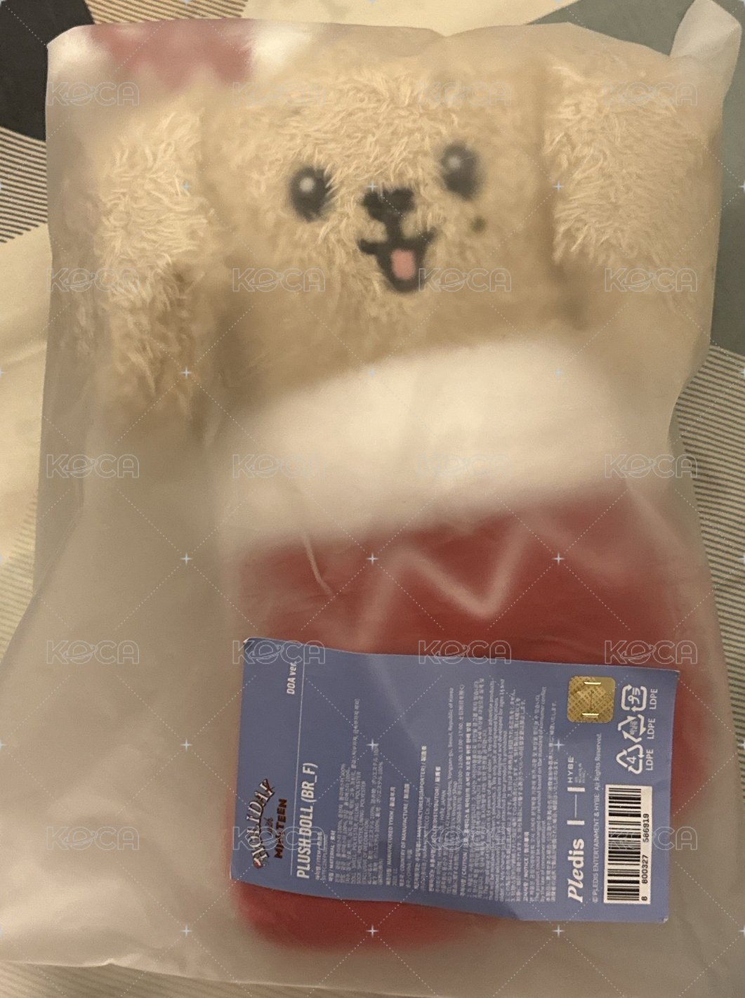聖誕襪娃 碩