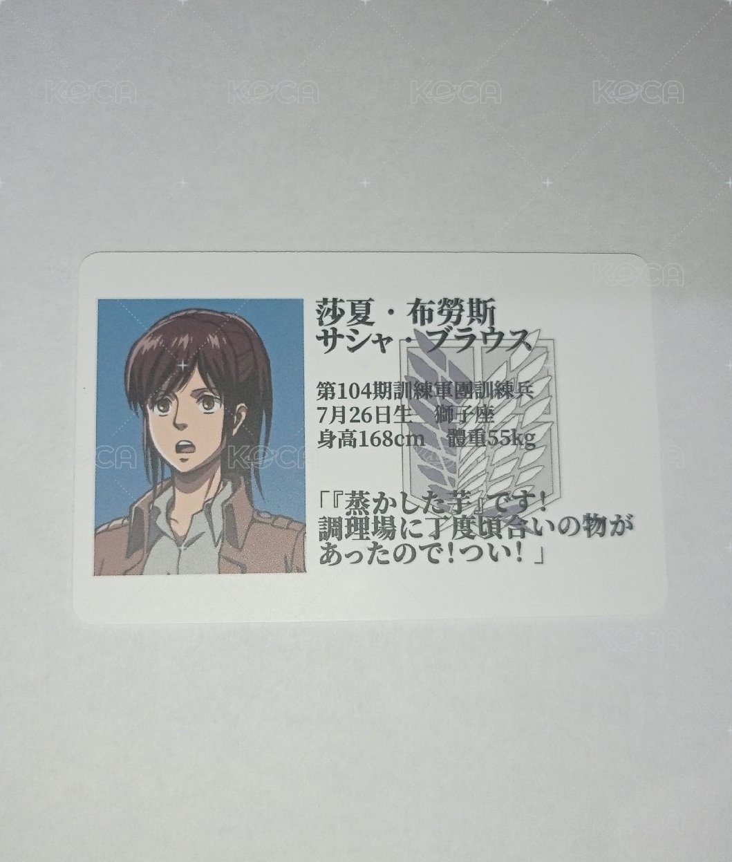 莎夏