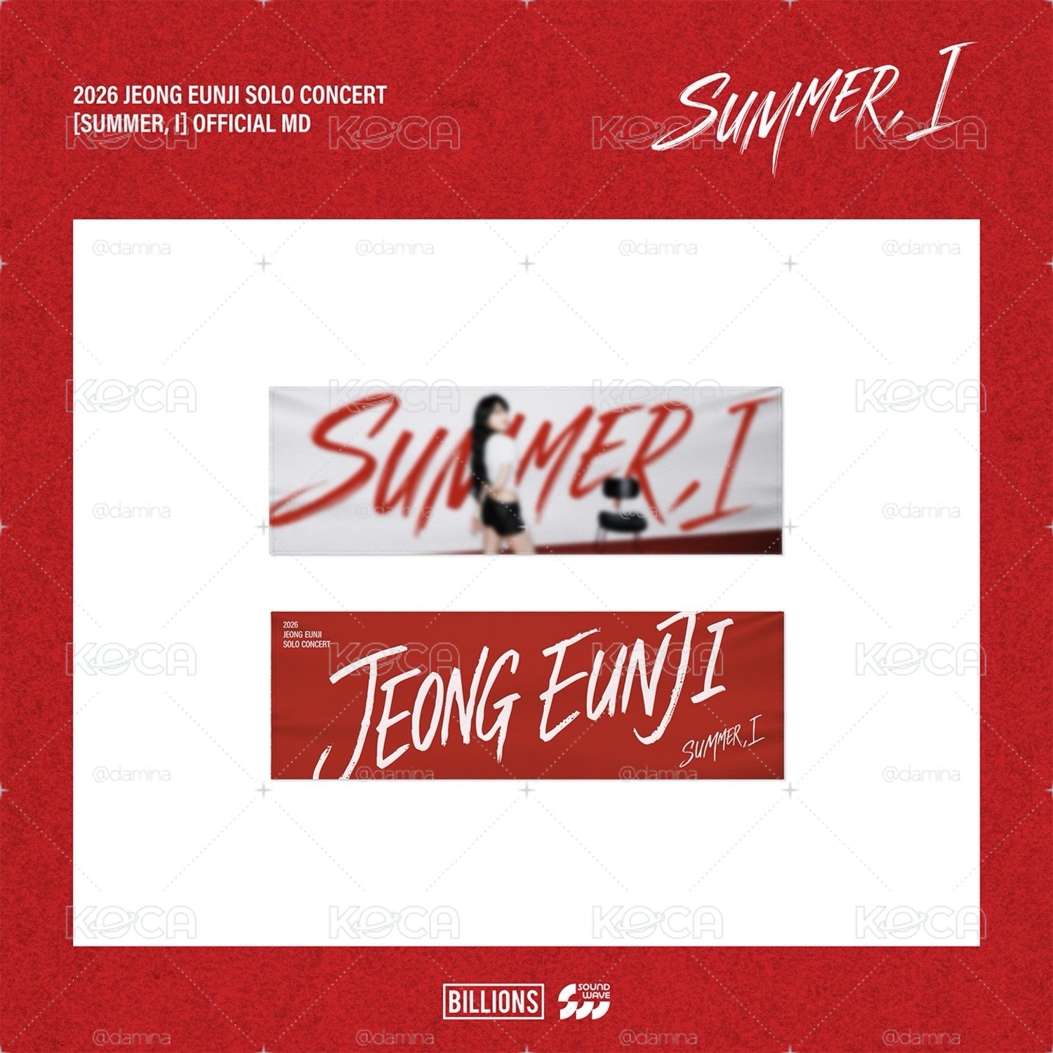 鄭恩地 SUMMER,I 演唱會