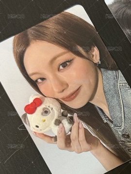 志
