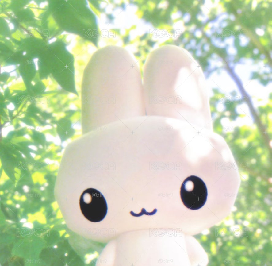 加購「紙盒」請幫我點這邊：3