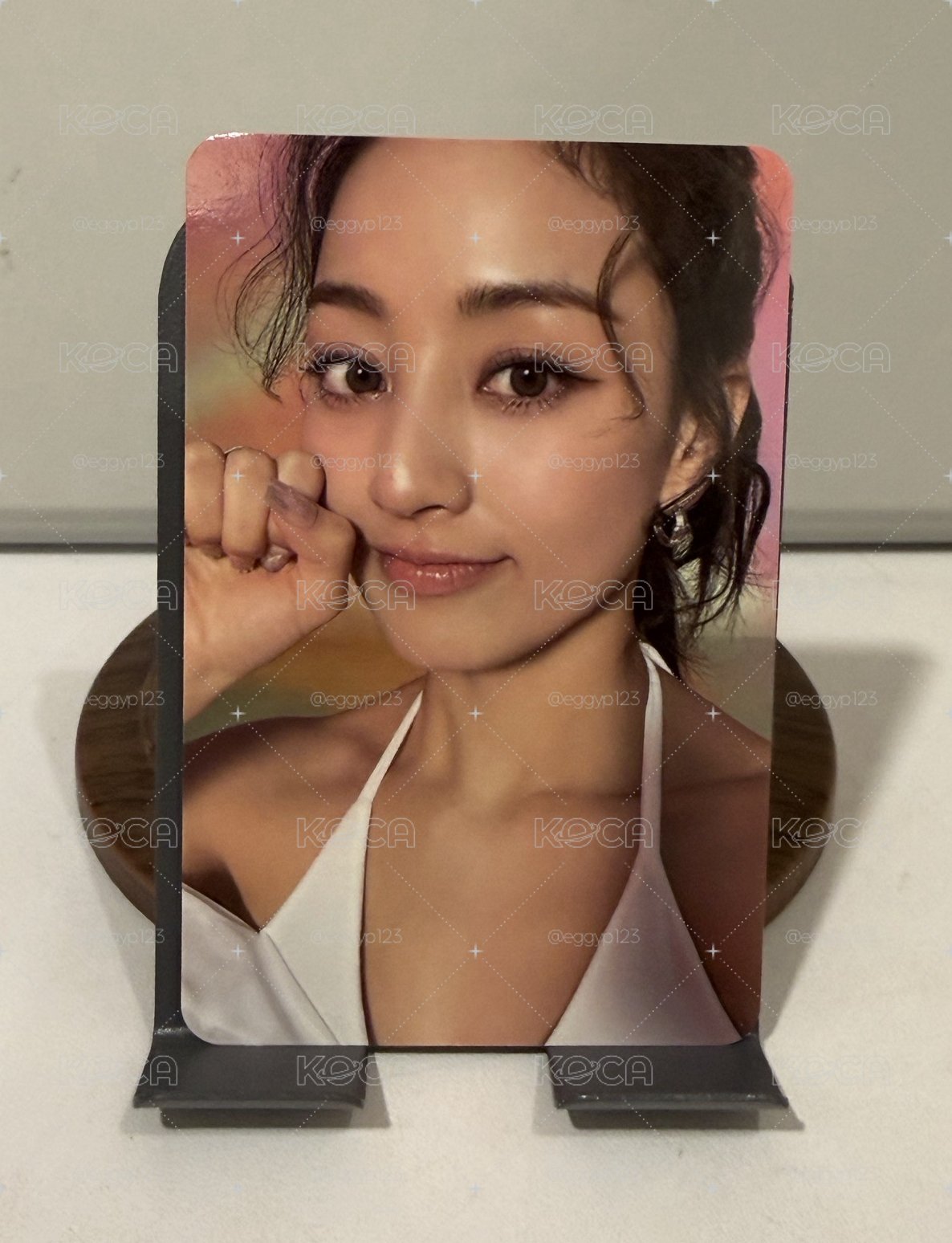 迷13 貓拳效