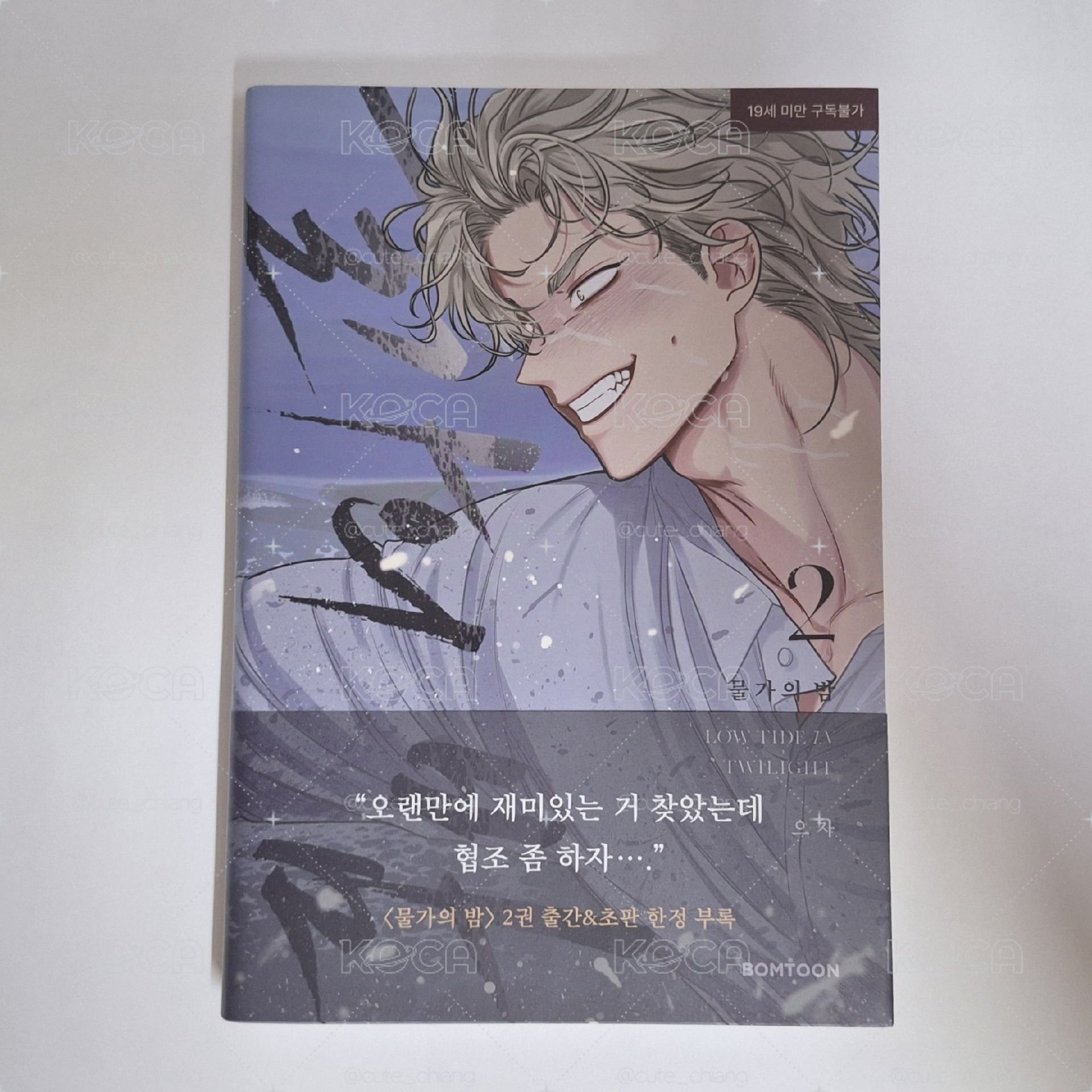 水邊之夜實體書