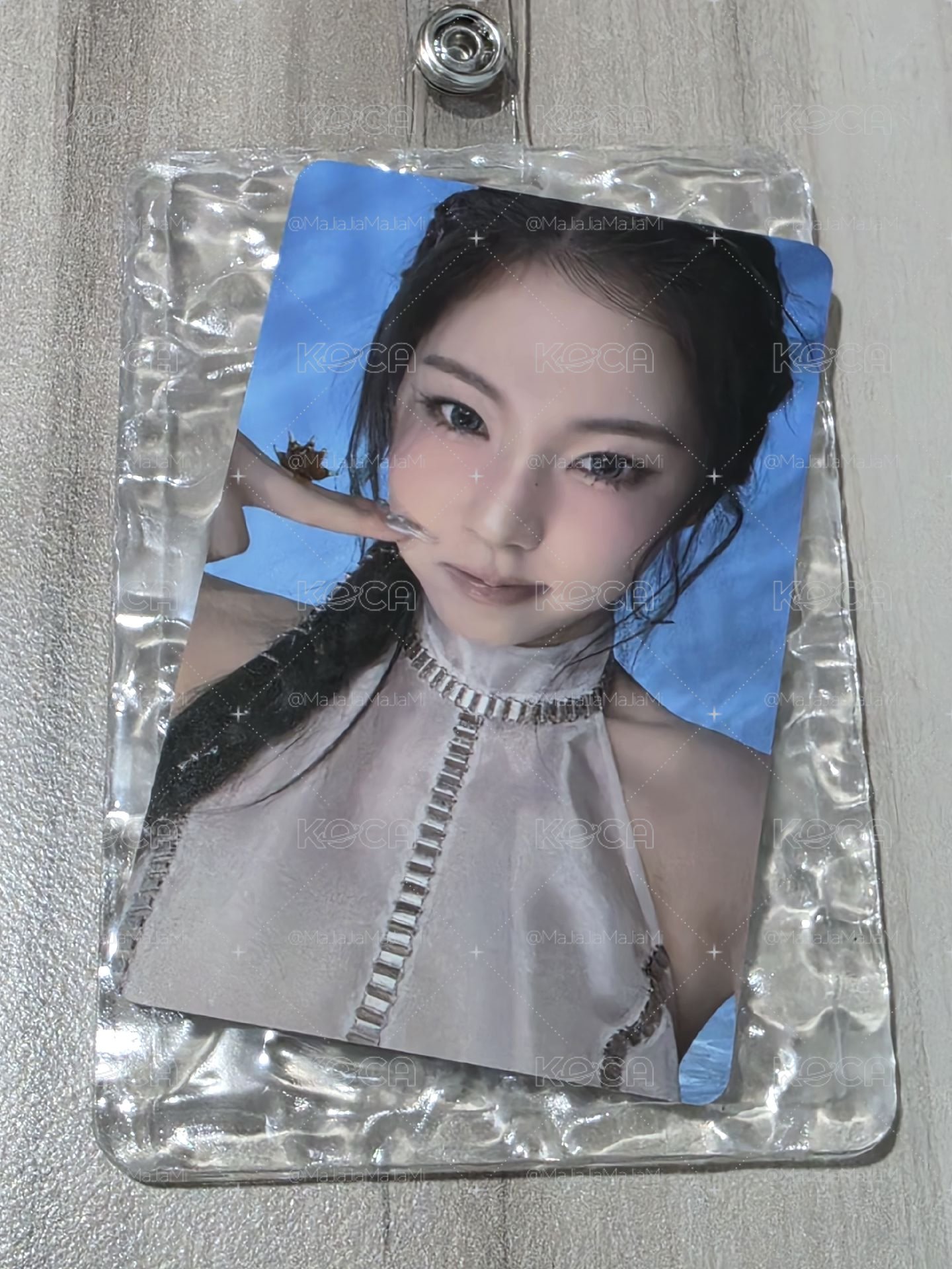 夾臉貓貓