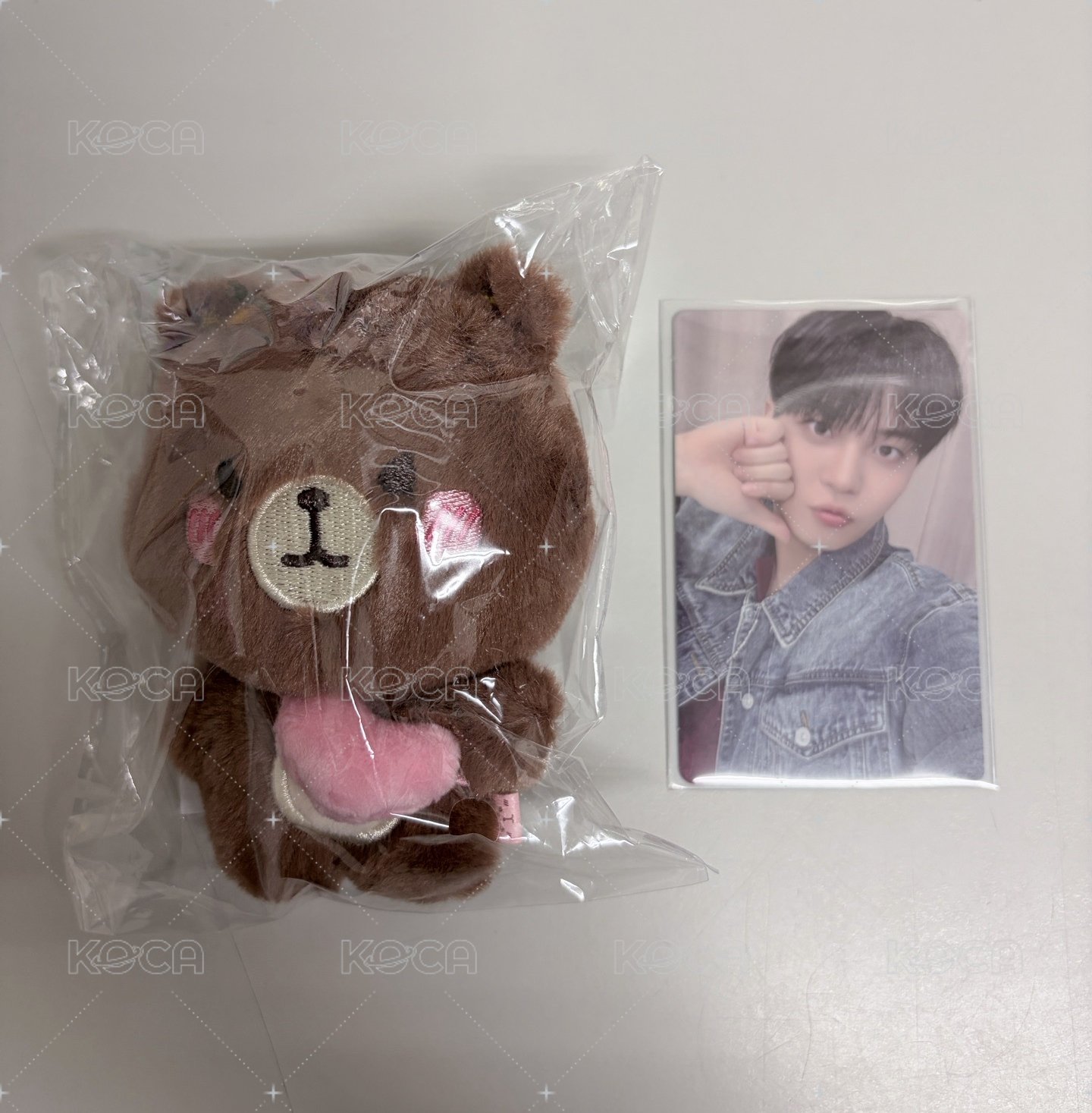 쫑돌이