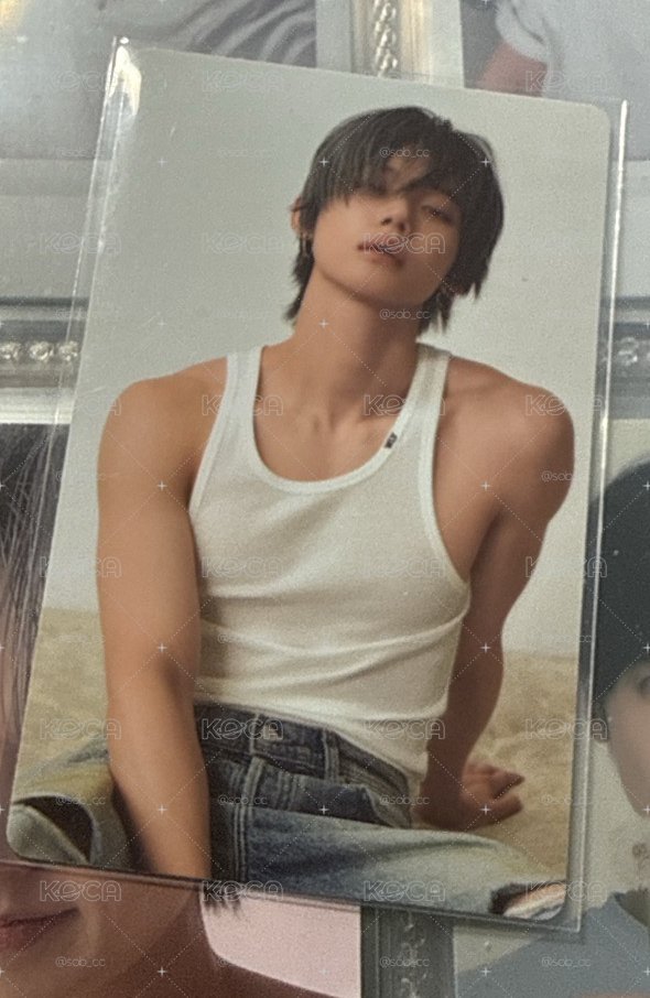 -yolo特典