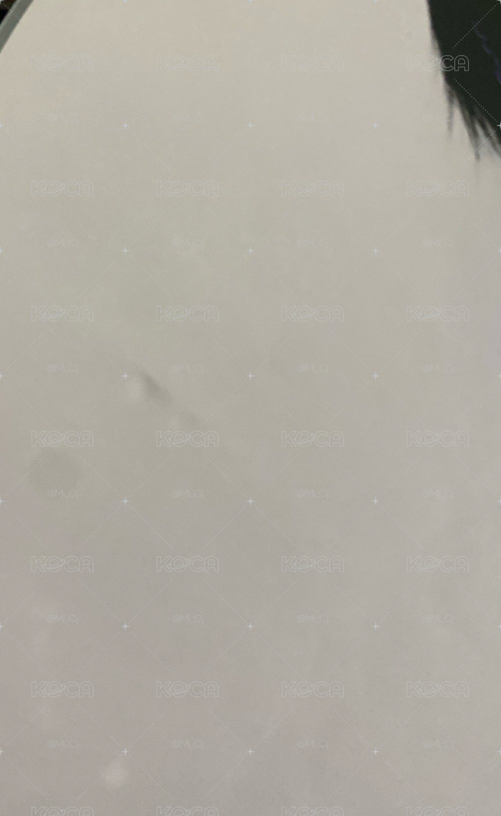 便宜售 有損寅扇