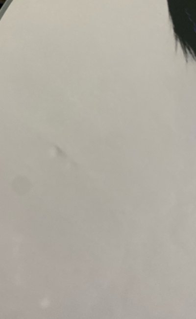 便宜售 有損寅扇