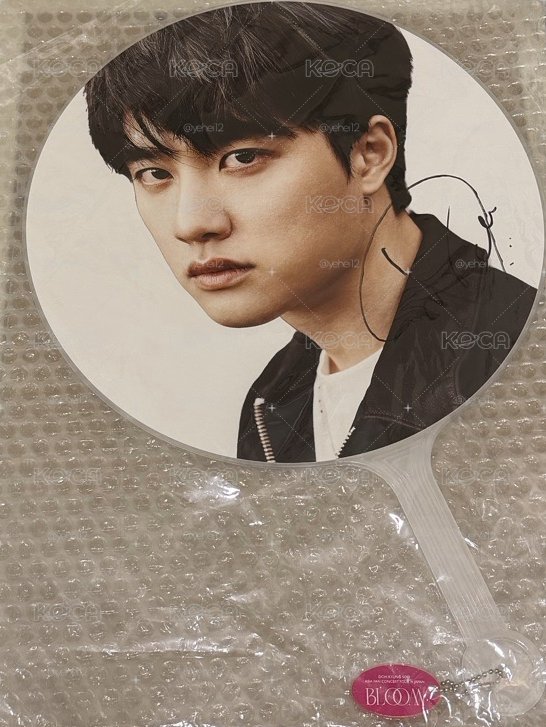 EXO D.O. 都敬秀 BLOOM日本場 親簽大王扇
