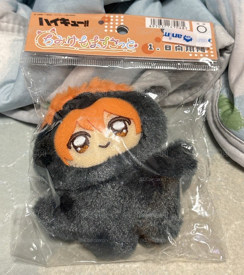 日向 動物娃