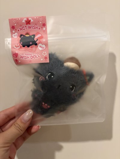 陸麵包🥯+口袋娃+mini popchu