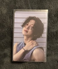 Q毛尚1