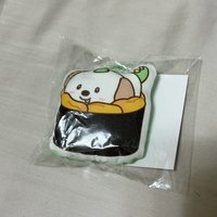 狗龍