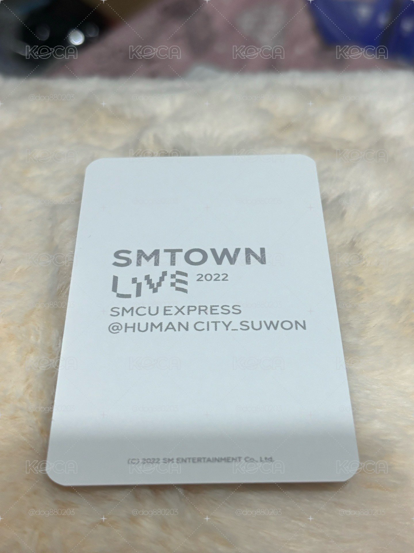 SMTOWN LIVE 2022 圭賢 AR卡