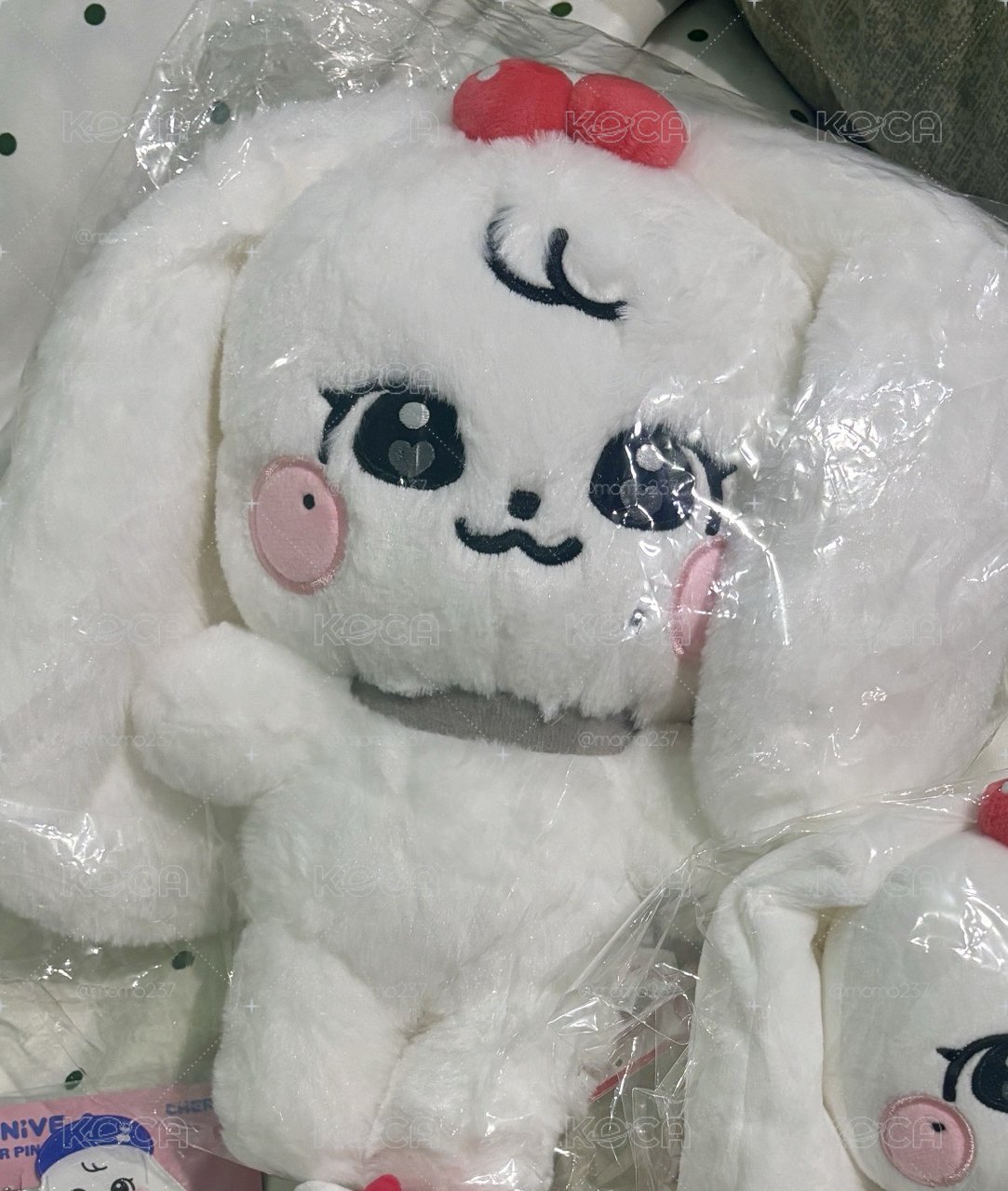 員瑛 Cherry 30cm大娃