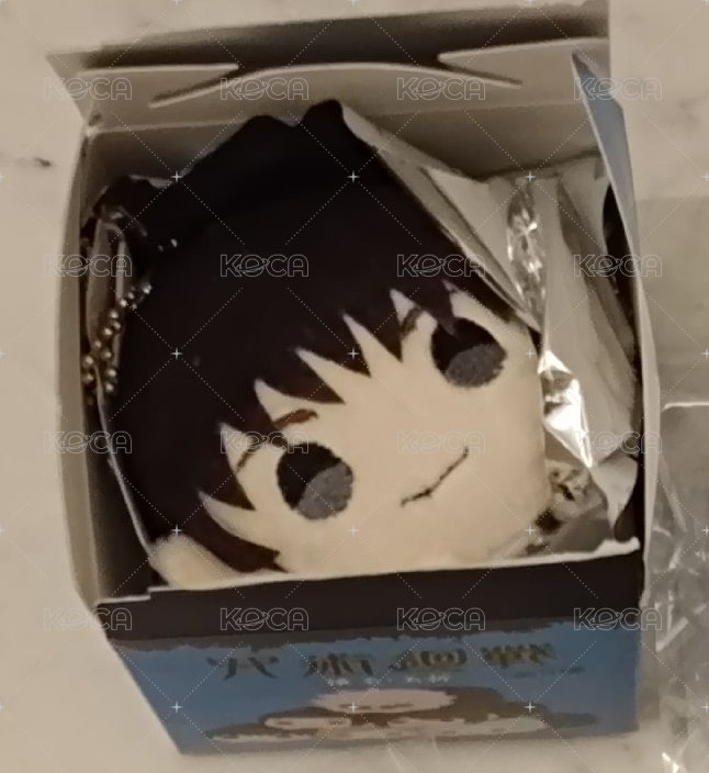 灰原趴娃(拆檢)