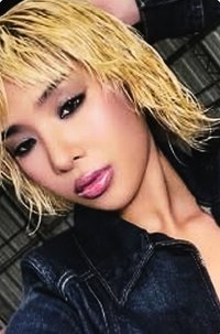 wild 首爾快閃 隨機卡 VER.A