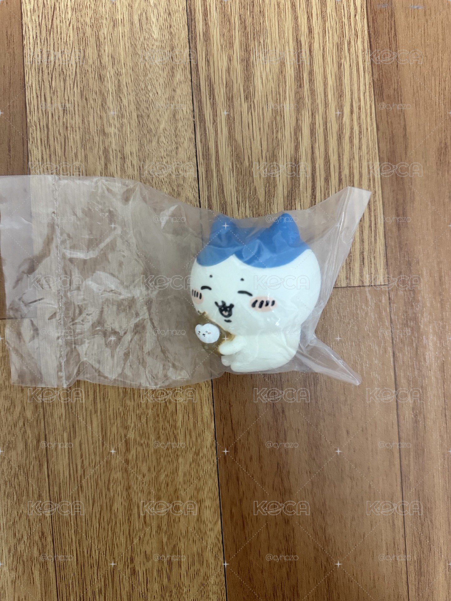 小甲蟲