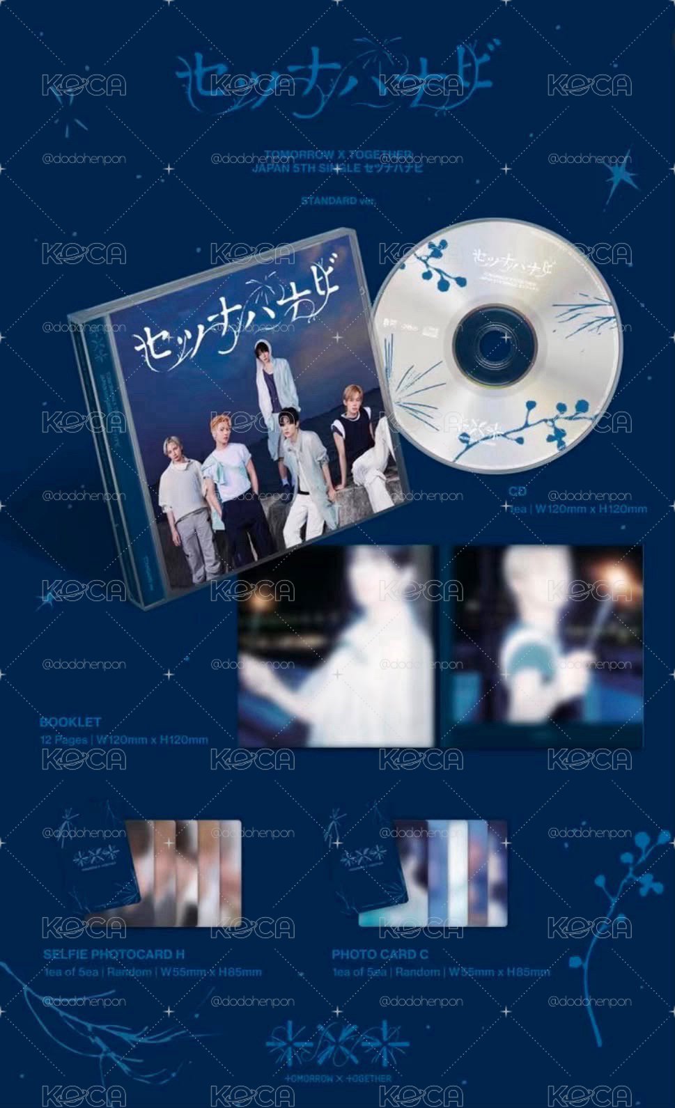 💜樂天竣竣+通常盤