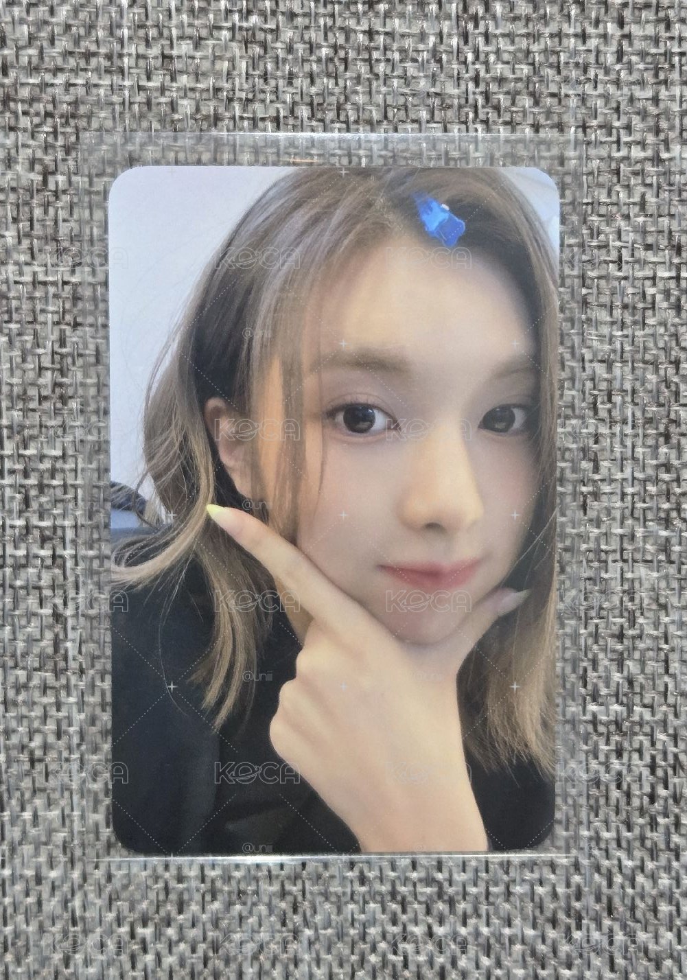 hello82裴 