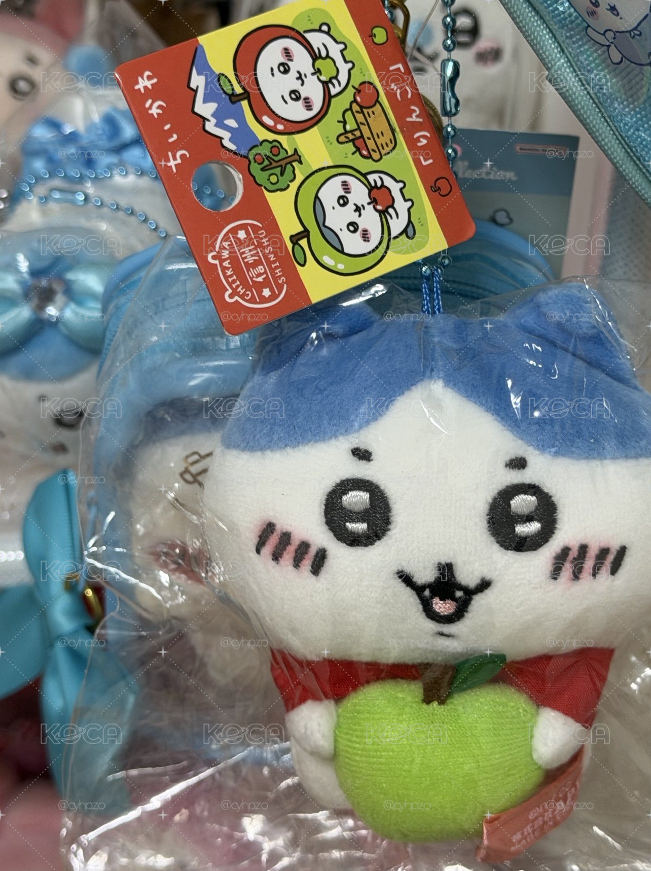 信州 青蘋果小八