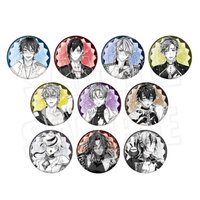 AGF玩偶 琺瑯瞳色胸章 vol.2
