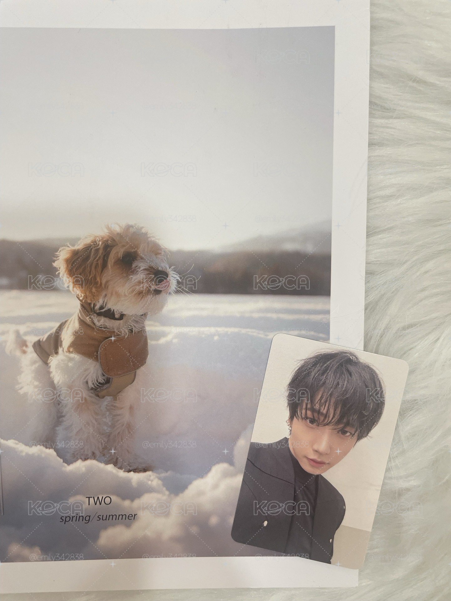 【BND】🐶HOME am特別禮