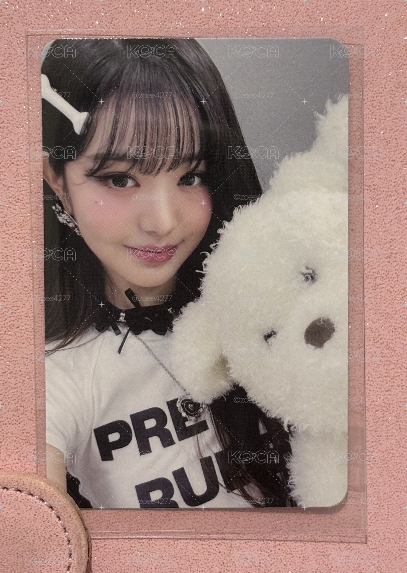 狗狗員🐰