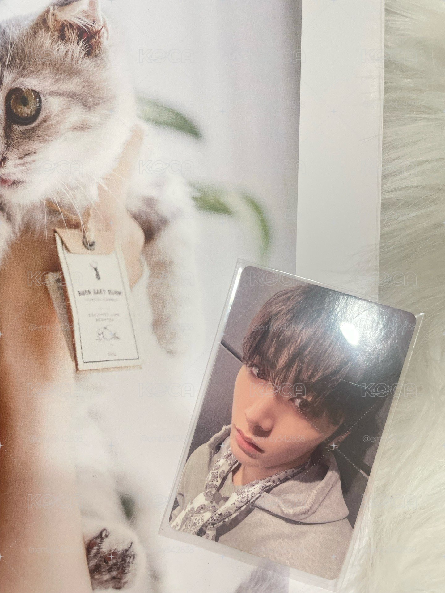 【BND】🐈⬛The action yzy5.0簽售卡