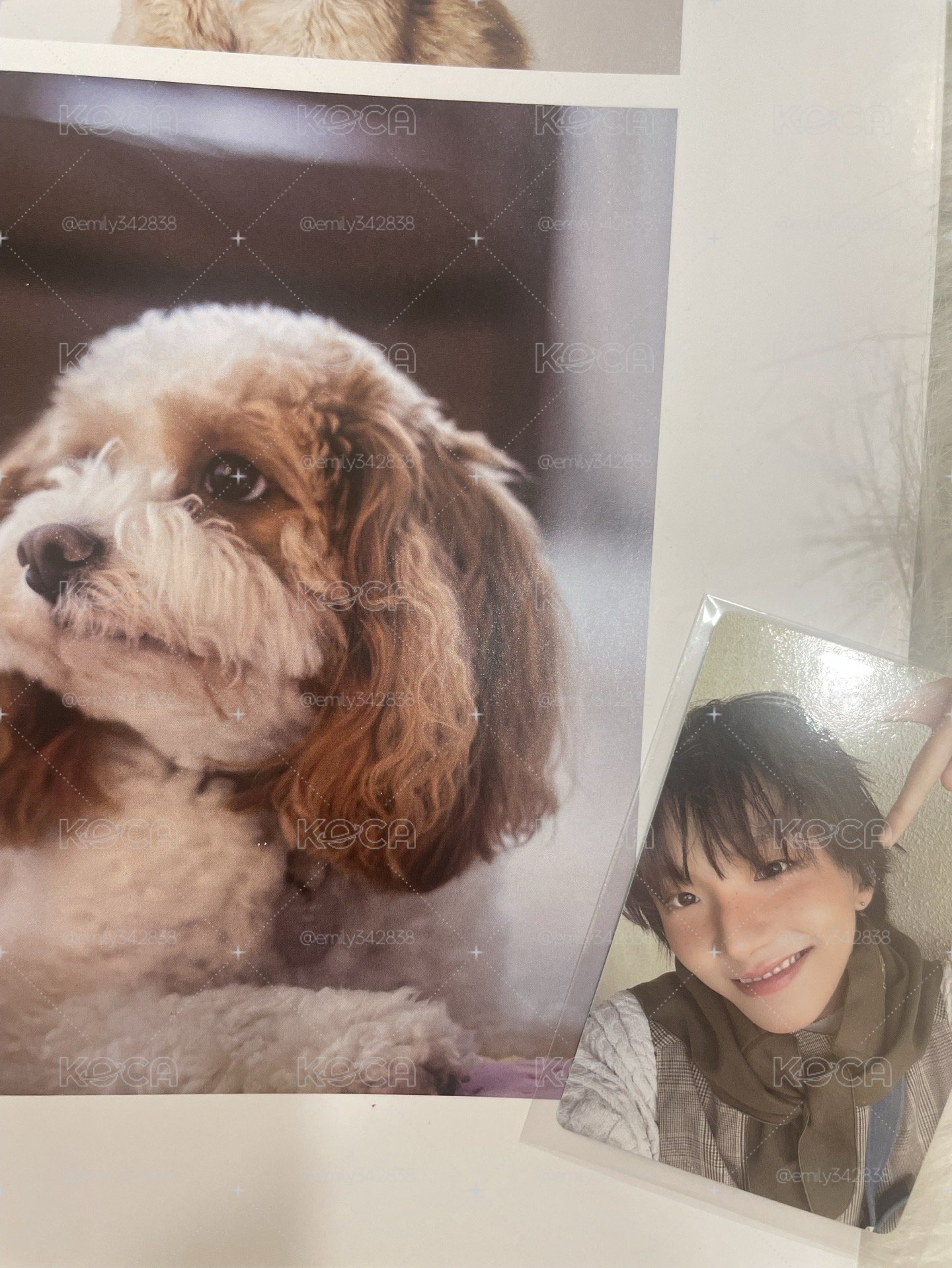 【BND】🧸HOME專輯卡