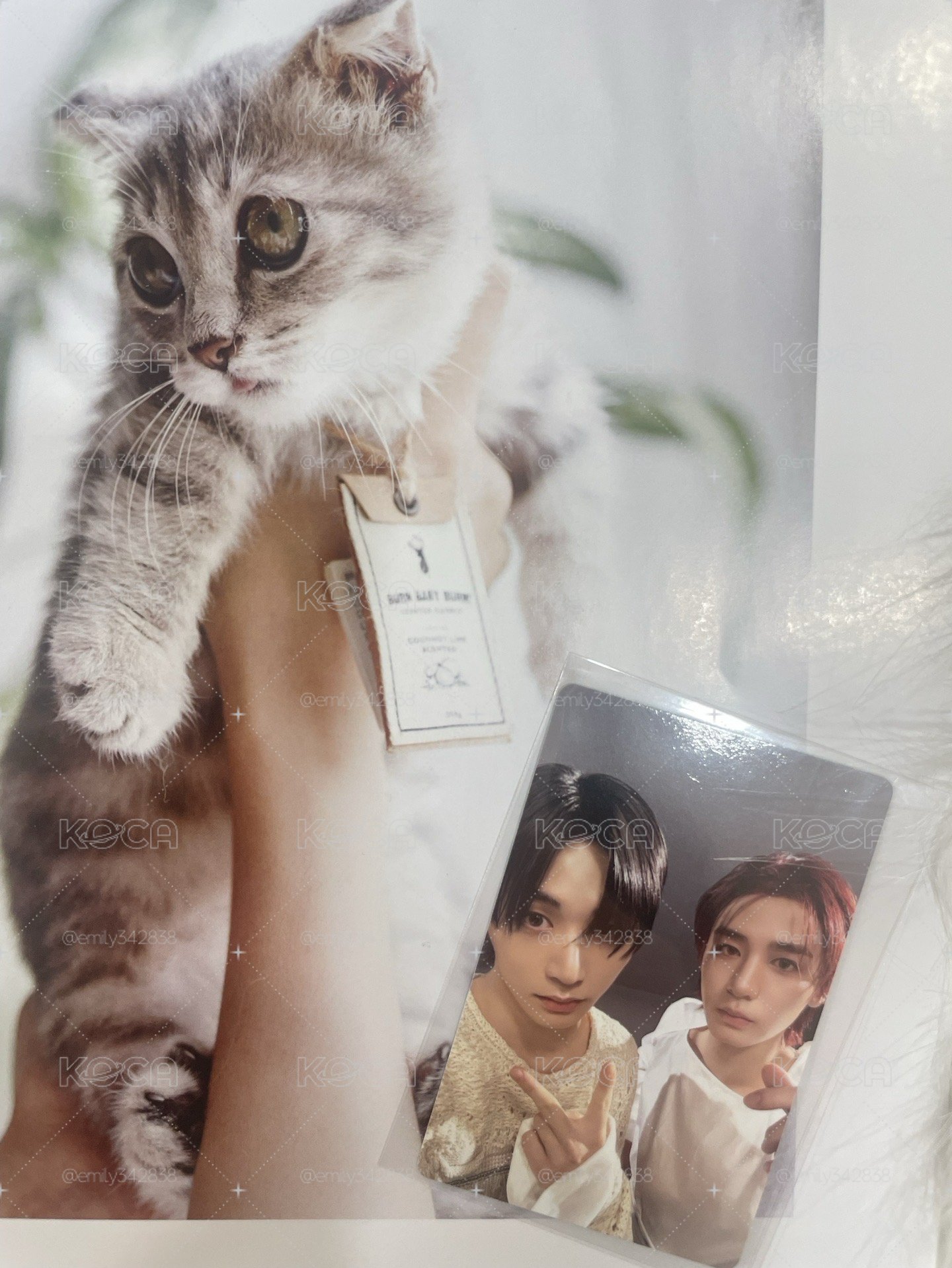 【BND】🐈⬛🐠HOME 專輯卡