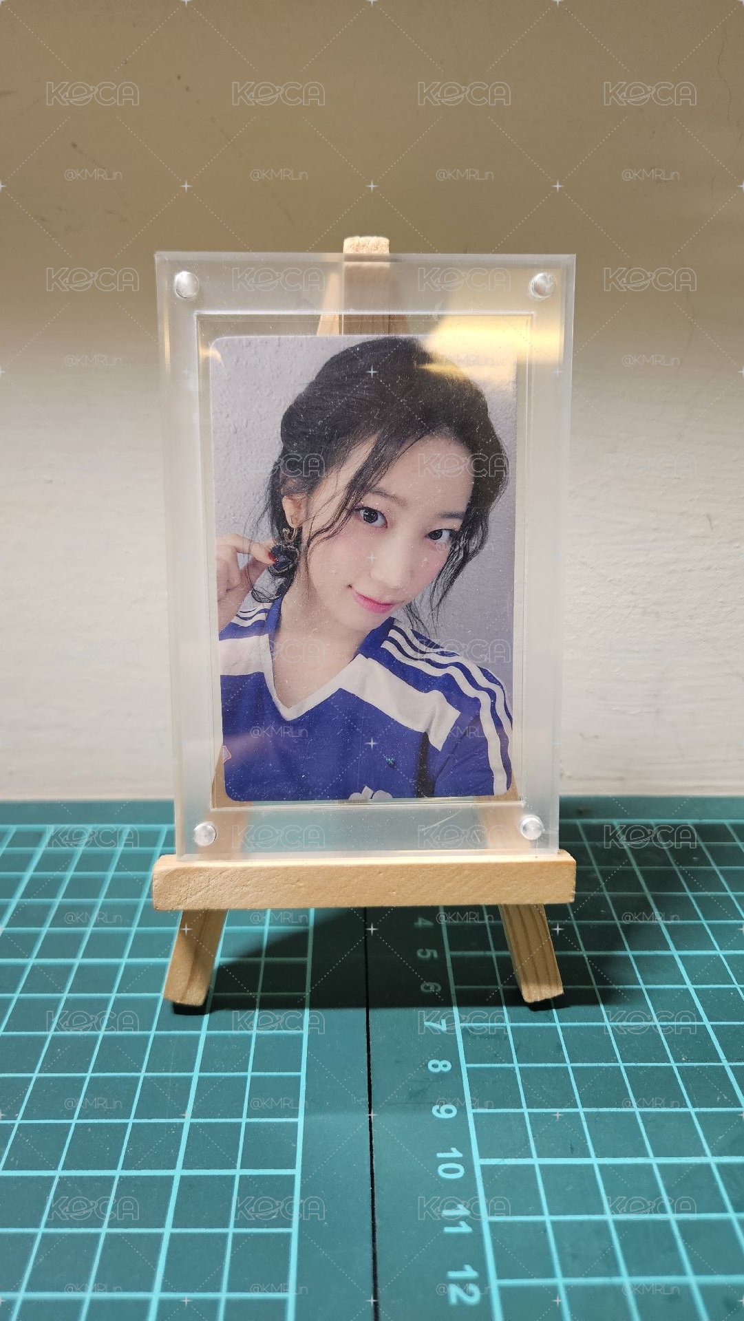 青島葉