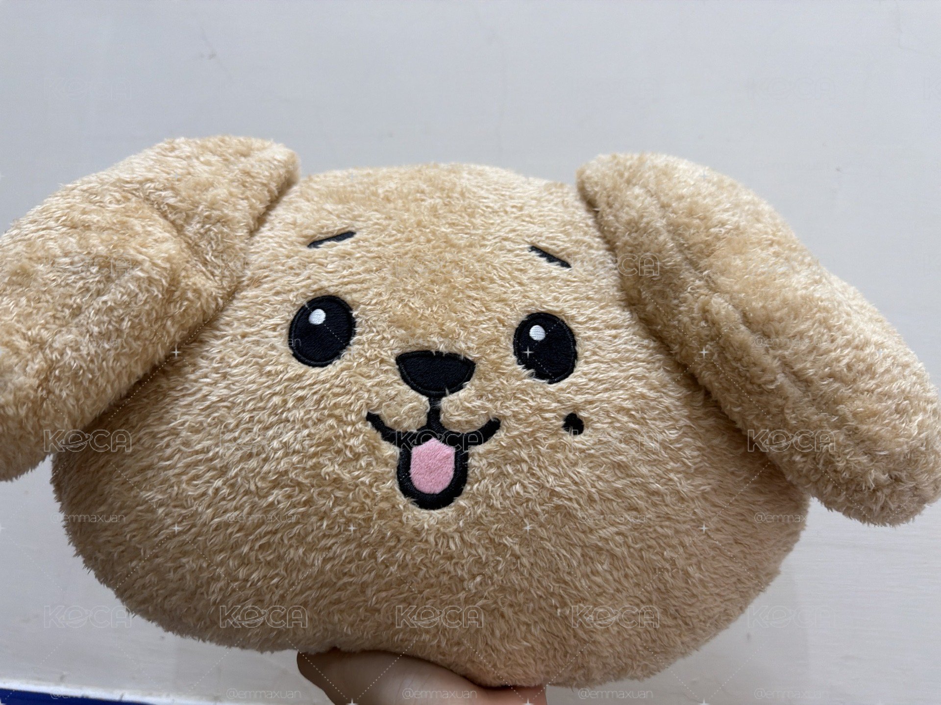 大頭抱枕 碩