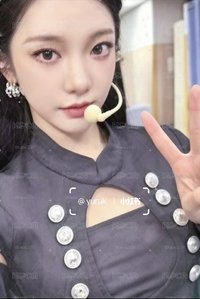 四巡 周邊卡 旅行包卡
