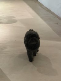 hiii