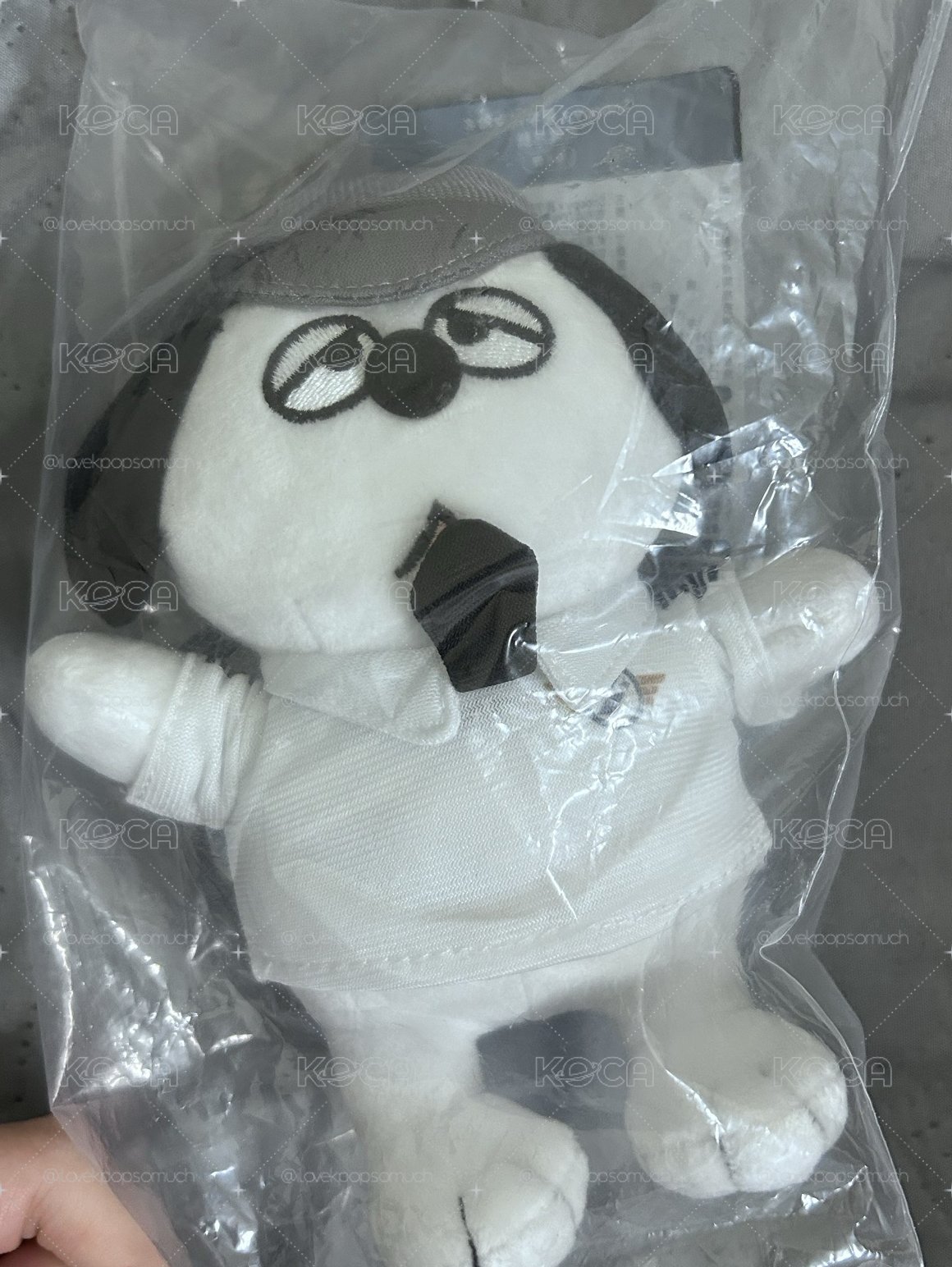 星宇航空聯名