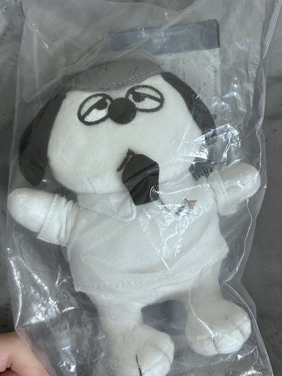 星宇航空聯名