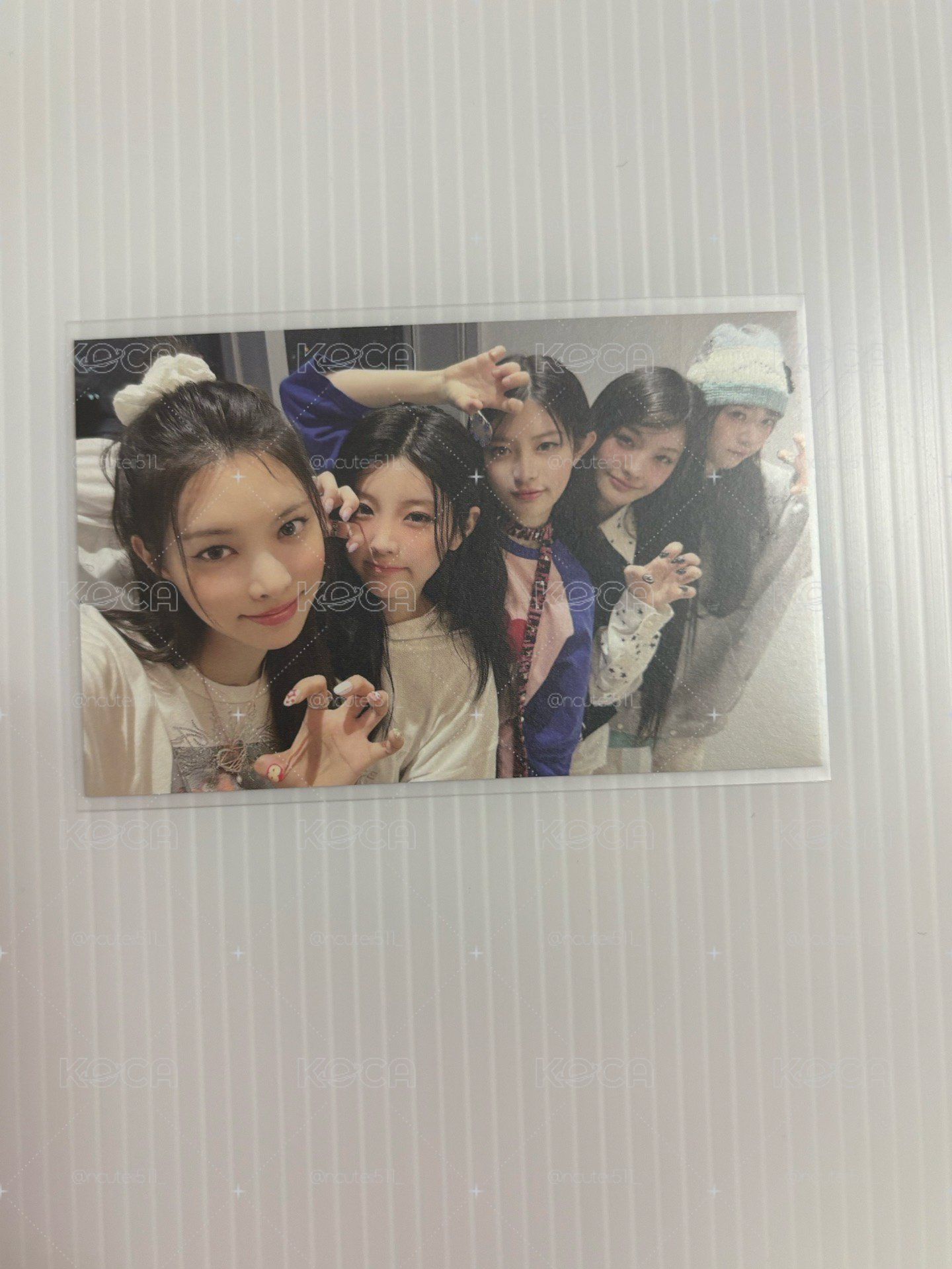 慜柱 萌花 團卡盤